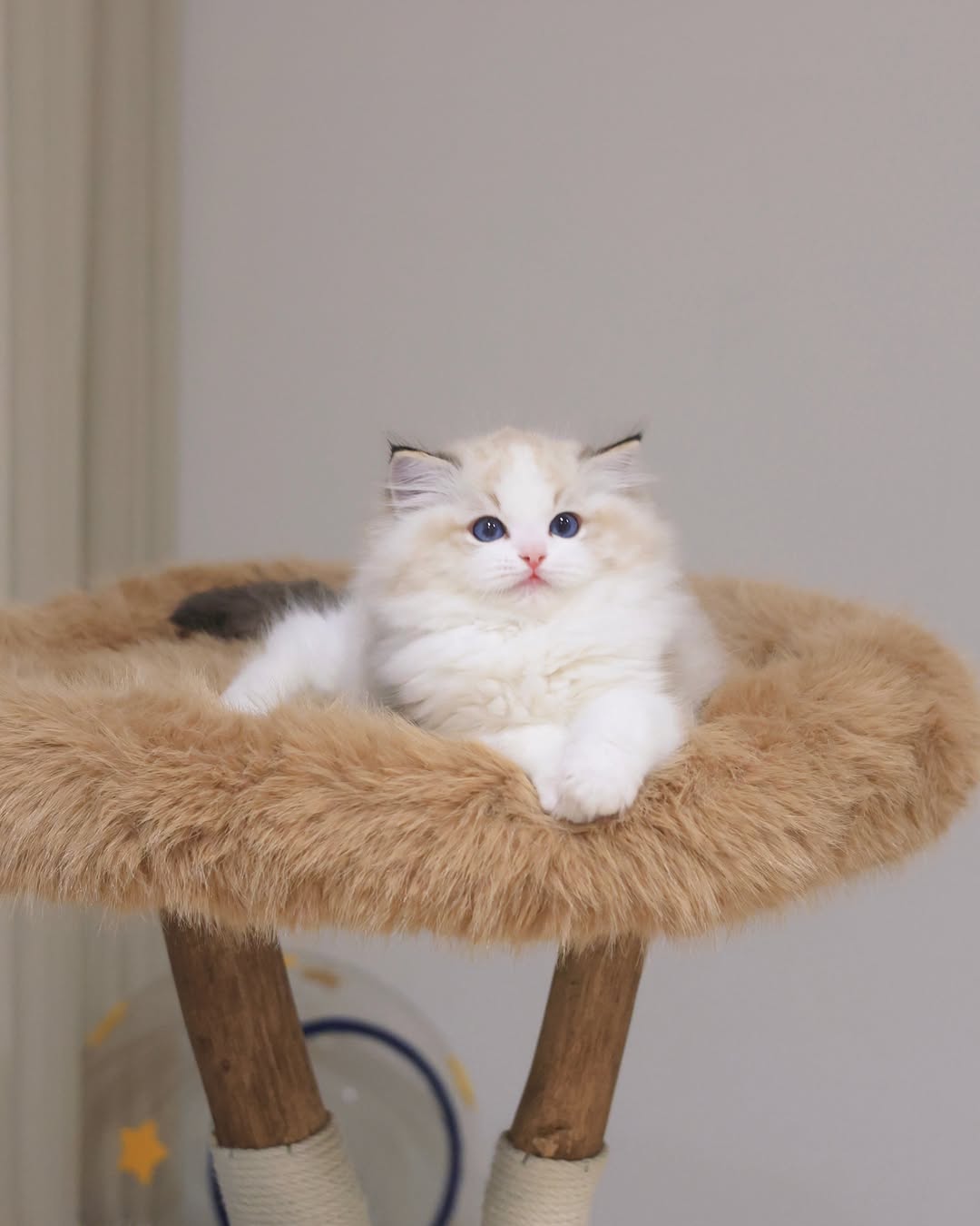 Coco 2