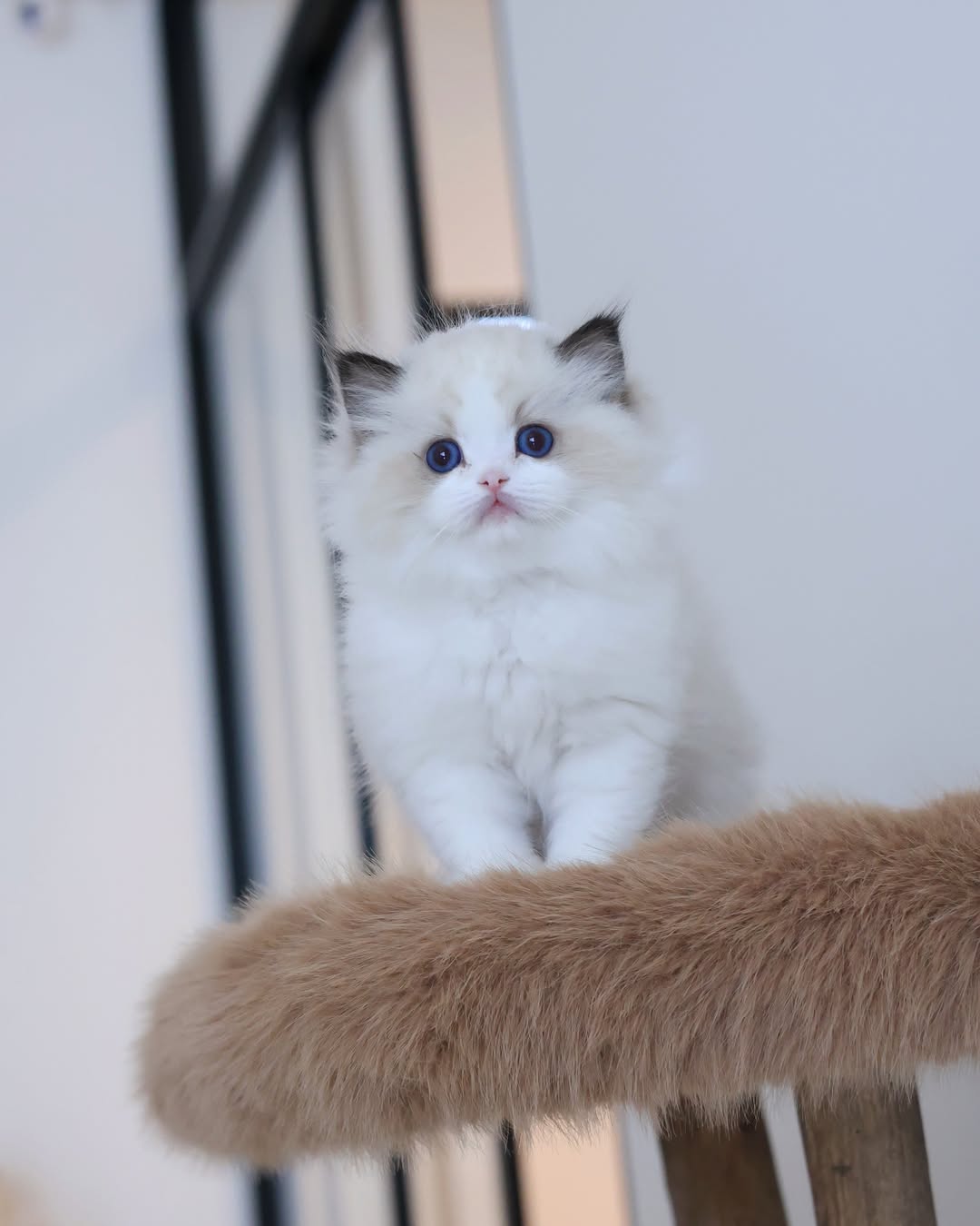 Luna 2